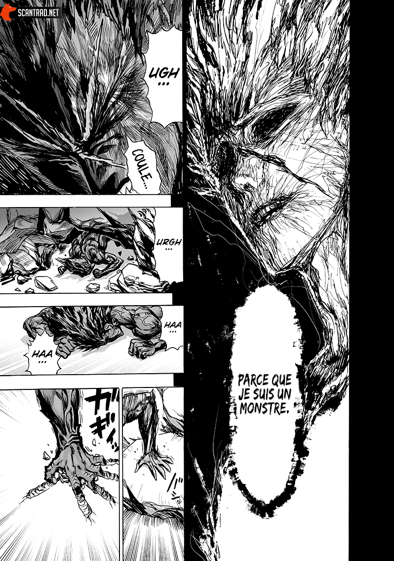One Punch Man: Chapter chapitre-162 - Page 12