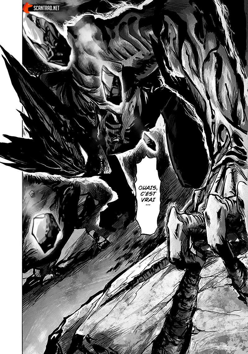 One Punch Man: Chapter chapitre-162 - Page 13