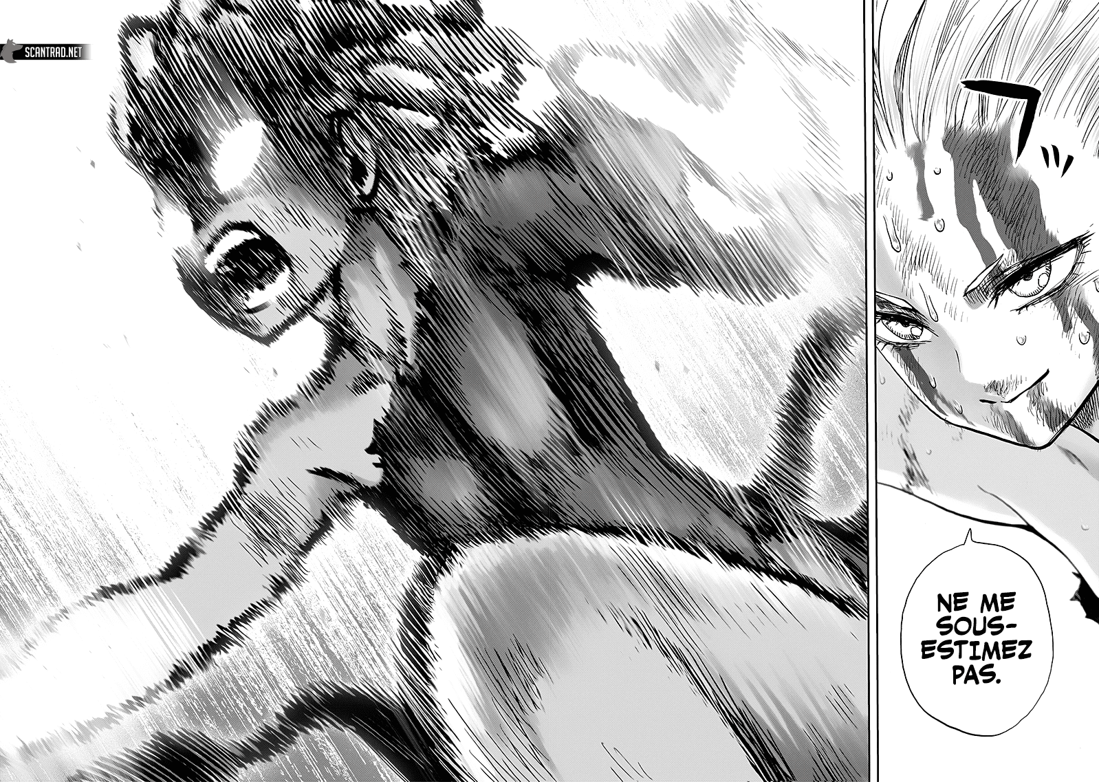 One Punch Man: Chapter chapitre-163 - Page 22