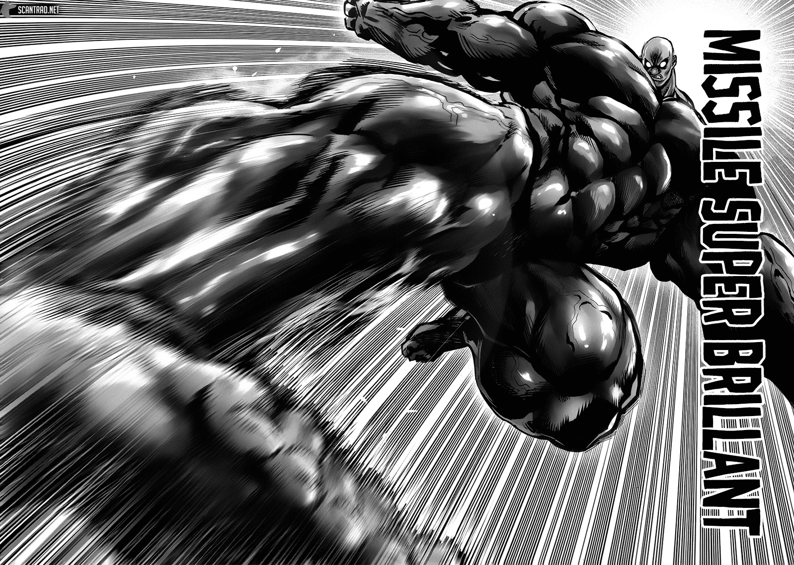 One Punch Man: Chapter chapitre-164 - Page 22