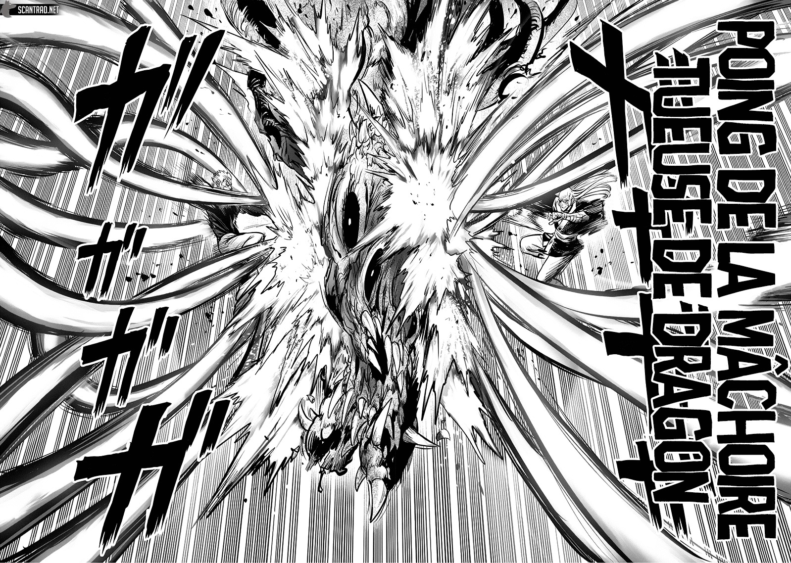 One Punch Man: Chapter chapitre-164 - Page 25