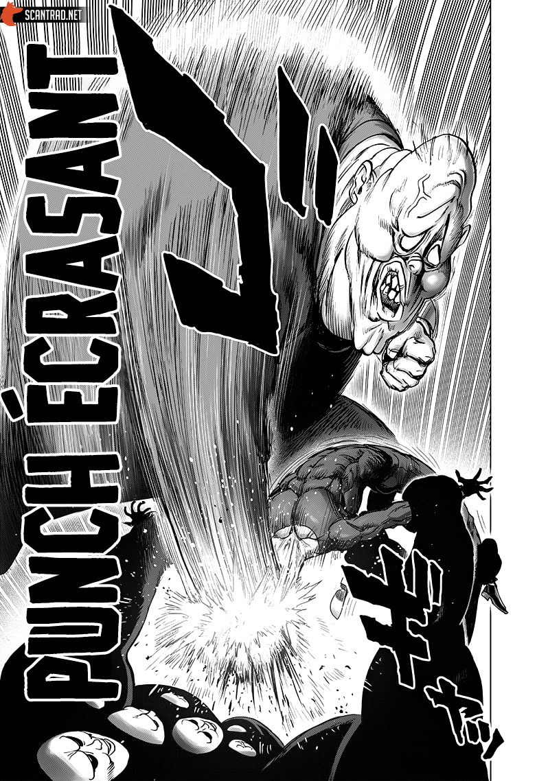 One Punch Man: Chapter chapitre-167 - Page 17
