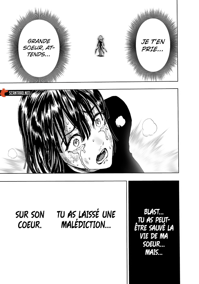 One Punch Man: Chapter chapitre-169 - Page 17