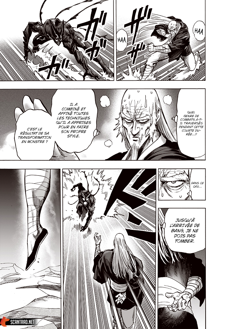 One Punch Man: Chapter chapitre-173 - Page 29
