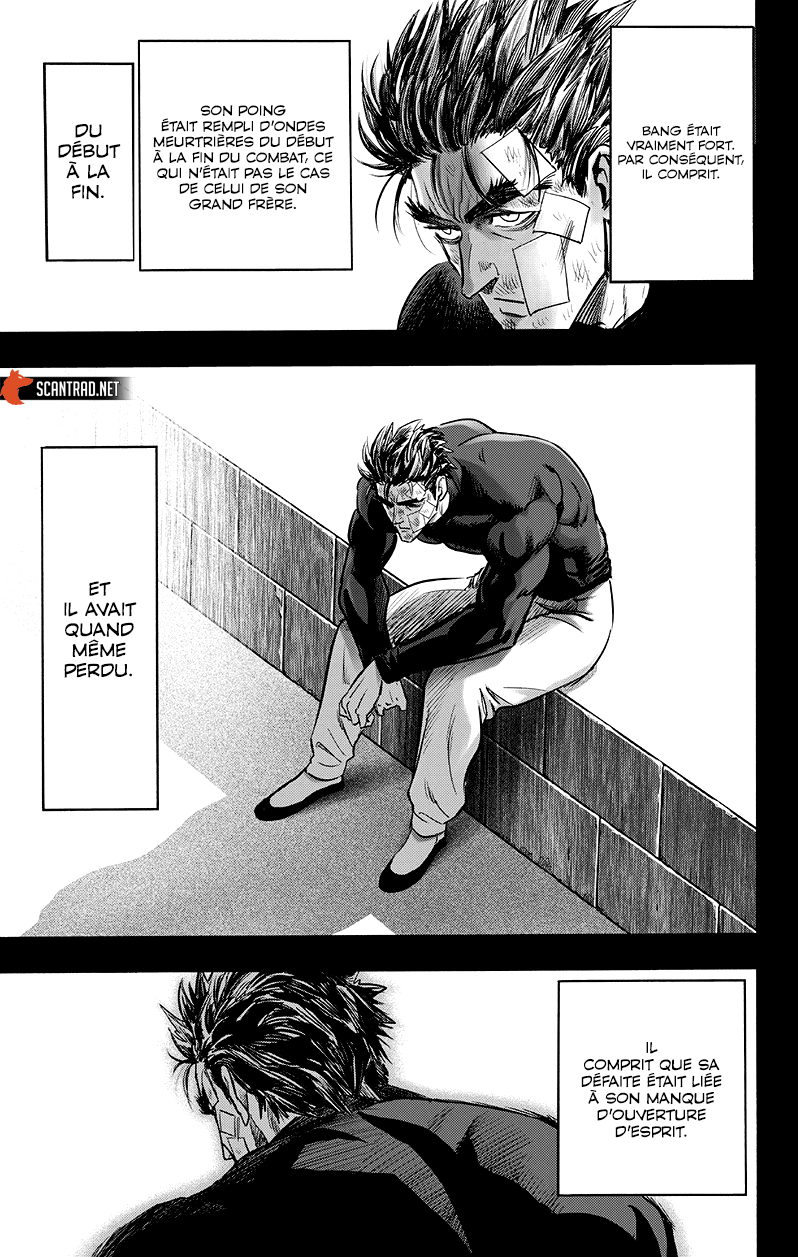 One Punch Man: Chapter chapitre-176 - Page 13