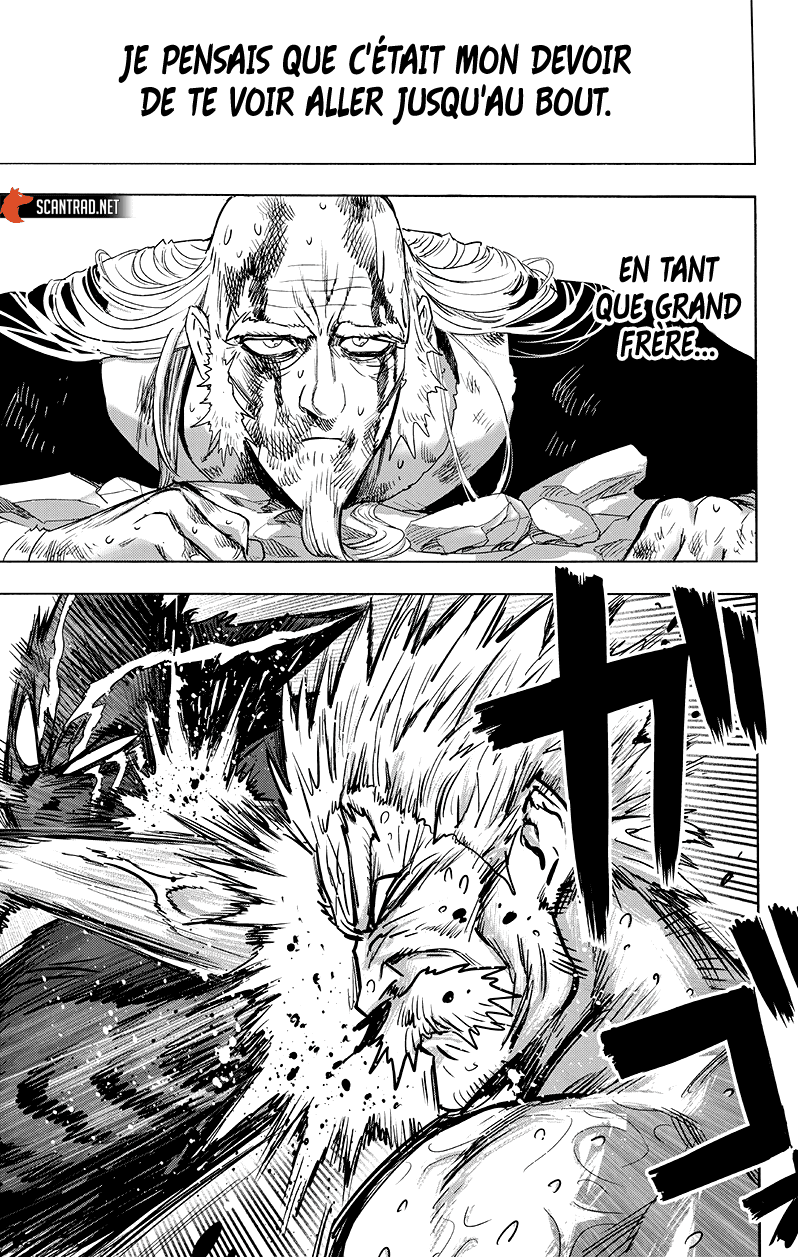 One Punch Man: Chapter chapitre-176 - Page 17