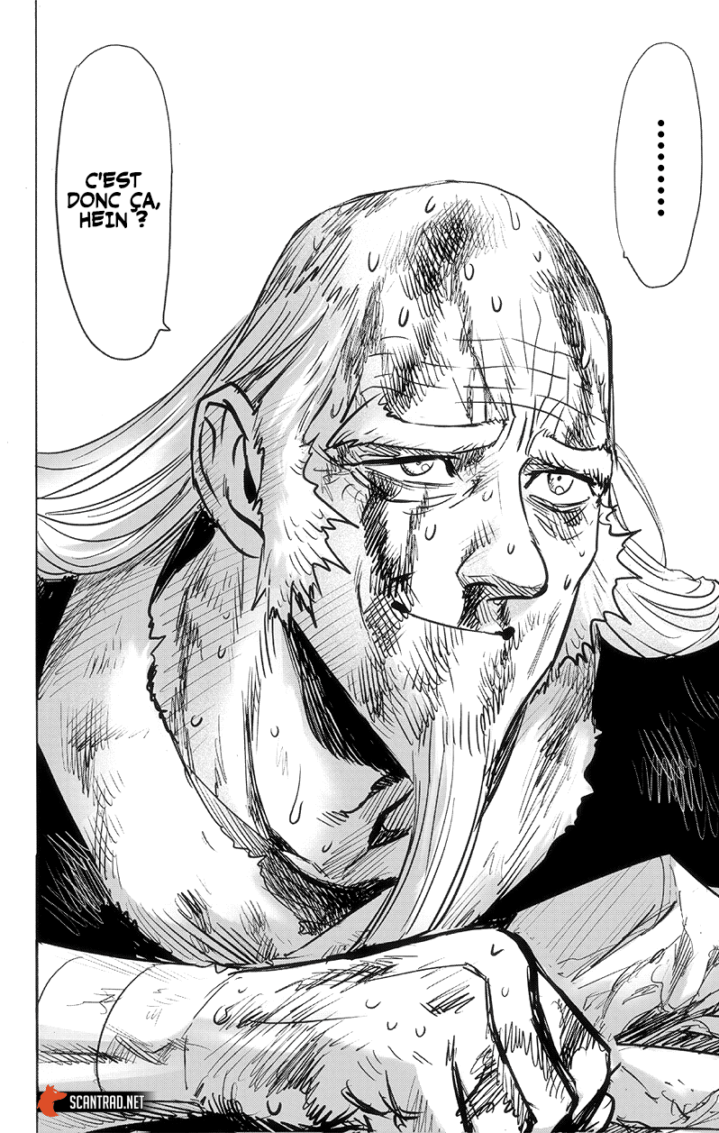 One Punch Man: Chapter chapitre-176 - Page 20