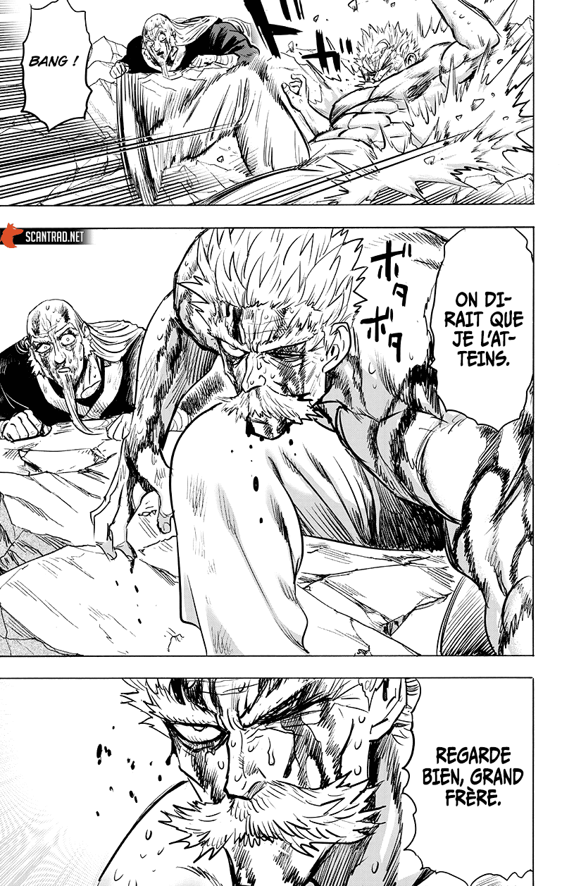 One Punch Man: Chapter chapitre-176 - Page 21