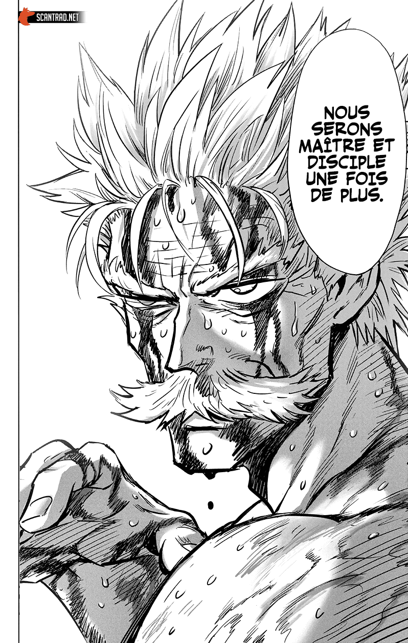One Punch Man: Chapter chapitre-176 - Page 26