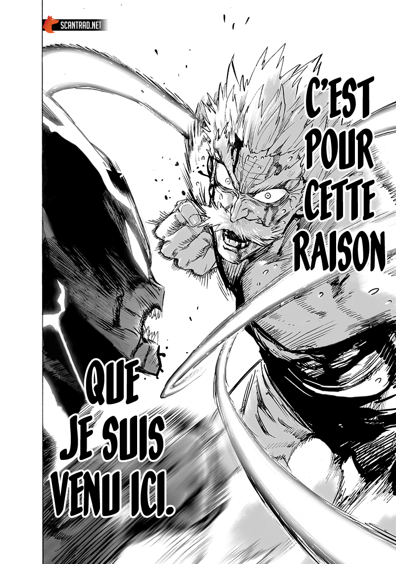 One Punch Man: Chapter chapitre-179 - Page 17