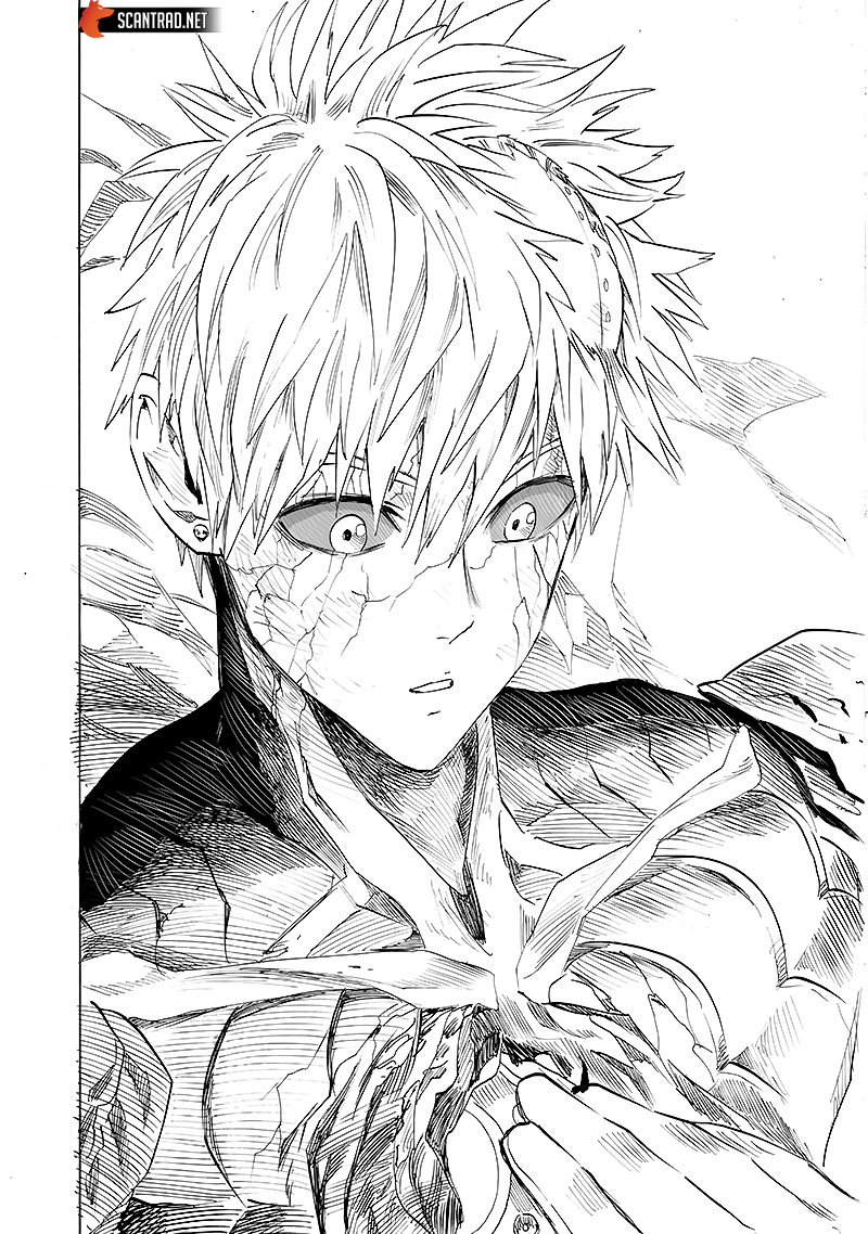 One Punch Man: Chapter chapitre-181 - Page 27