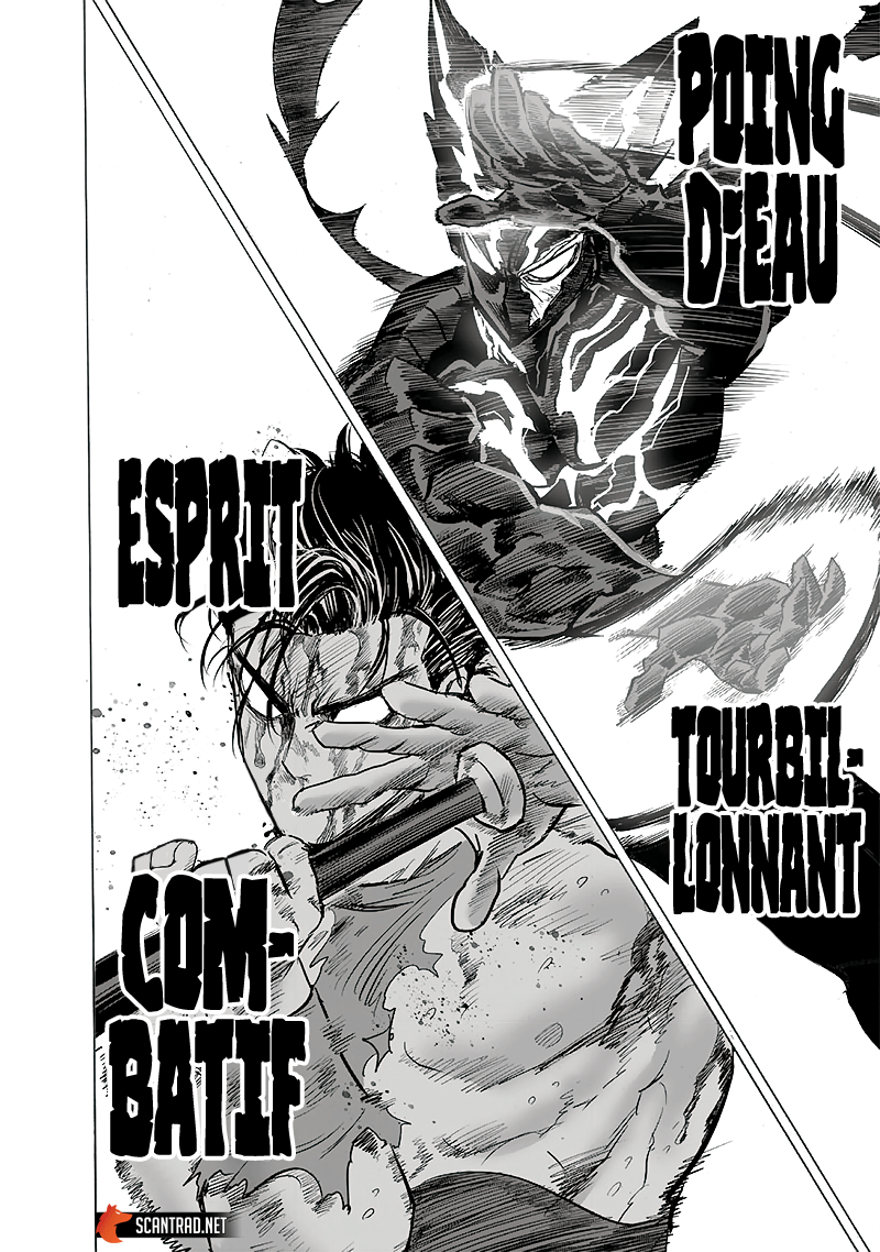One Punch Man: Chapter chapitre-184 - Page 29