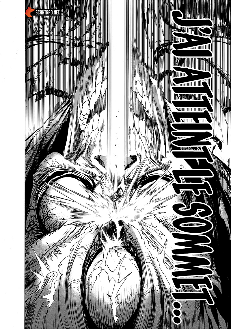 One Punch Man: Chapter chapitre-185 - Page 16