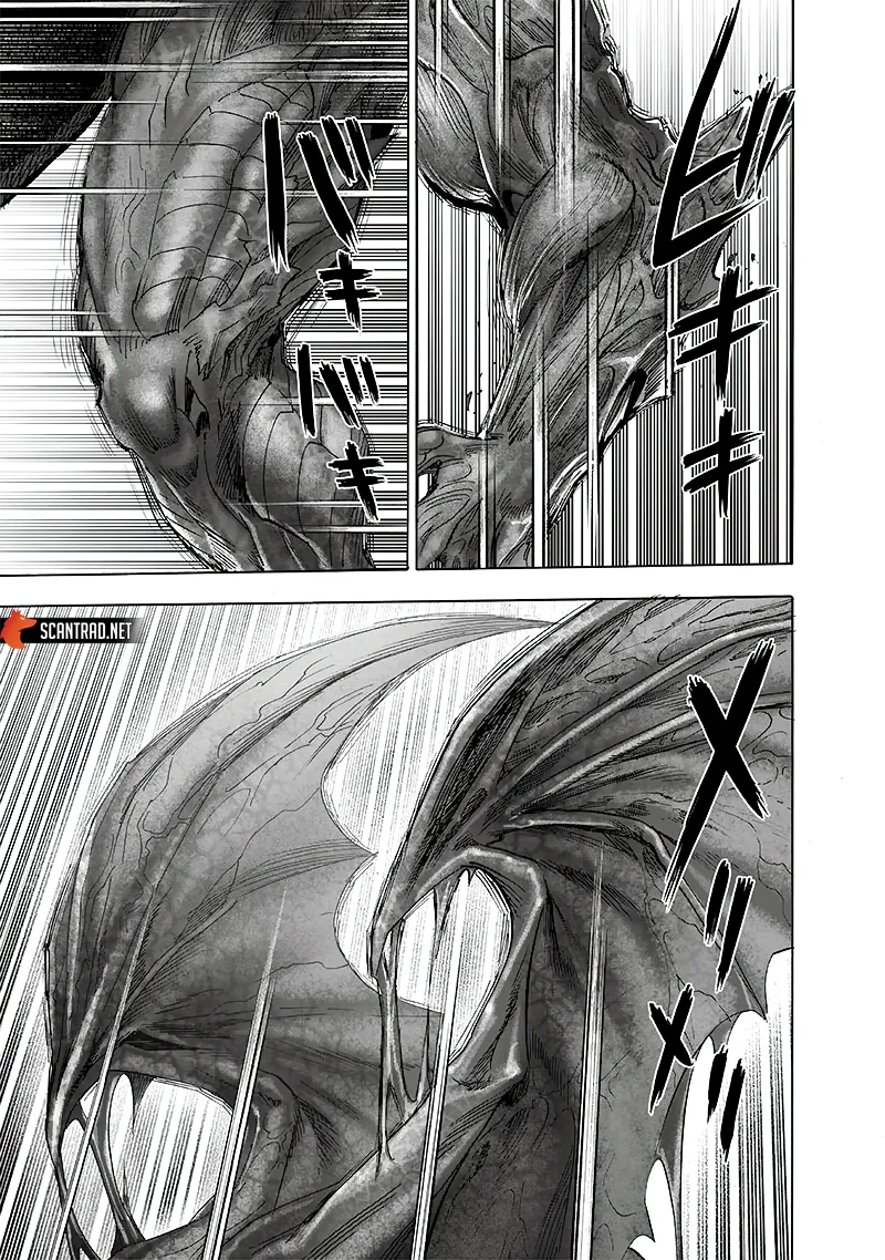 One Punch Man: Chapter chapitre-189 - Page 29