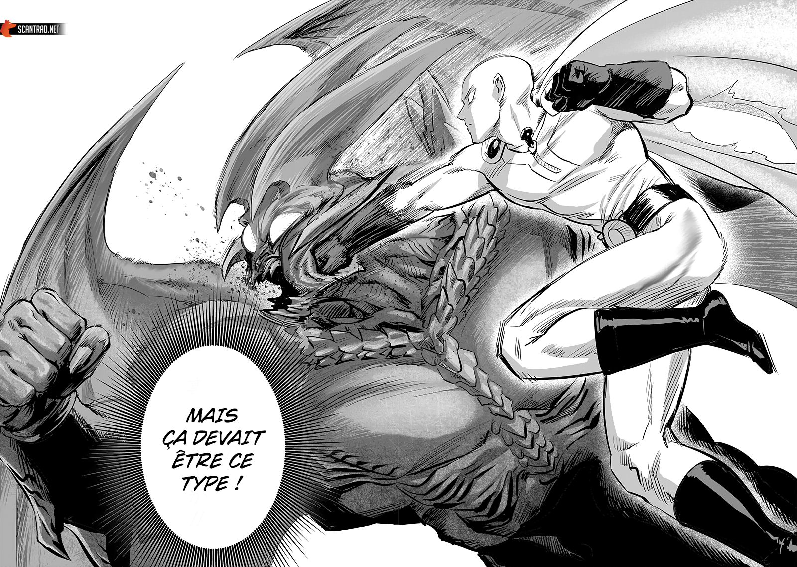 One Punch Man: Chapter chapitre-190 - Page 25