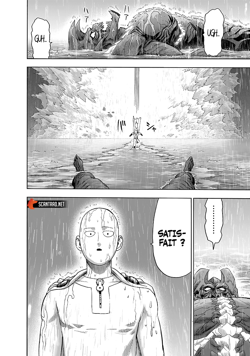 One Punch Man: Chapter chapitre-190 - Page 28