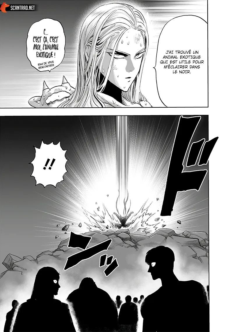 One Punch Man: Chapter chapitre-192 - Page 28