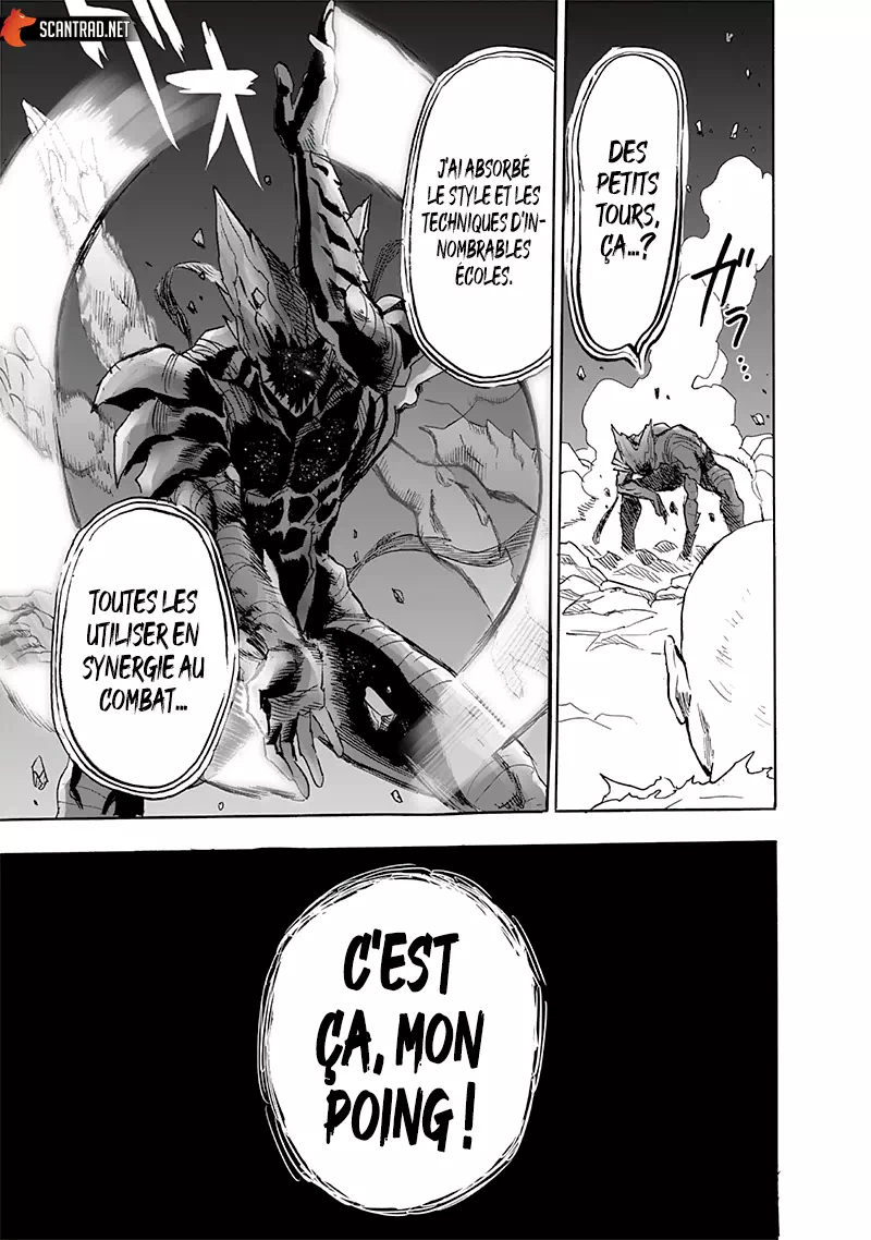 One Punch Man: Chapter chapitre-194 - Page 25