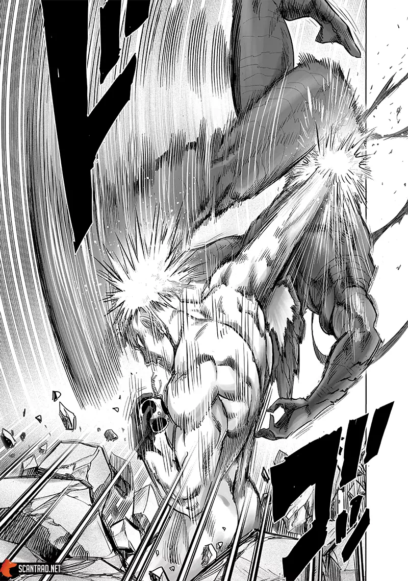 One Punch Man: Chapter chapitre-195 - Page 5