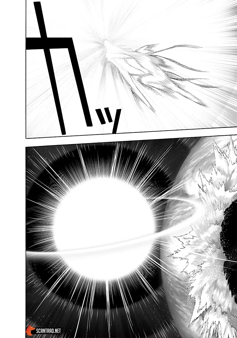 One Punch Man: Chapter chapitre-195 - Page 27
