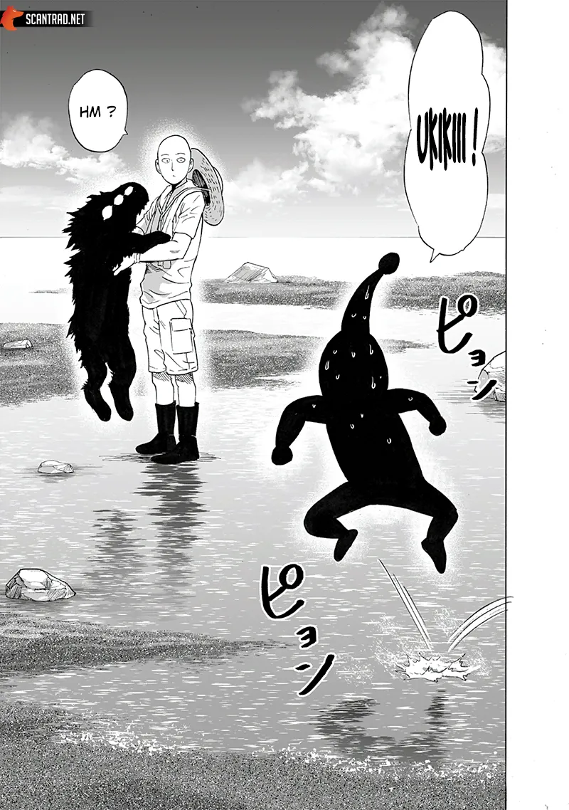 One Punch Man: Chapter chapitre-198 - Page 29