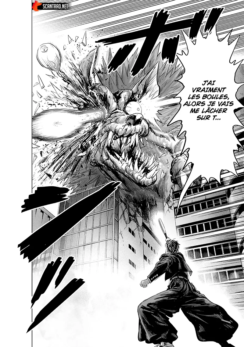 One Punch Man: Chapter chapitre-207 - Page 29