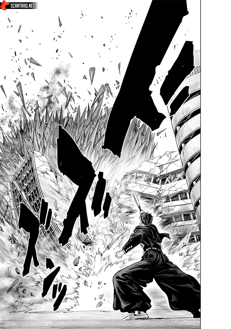 One Punch Man: Chapter chapitre-207 - Page 30