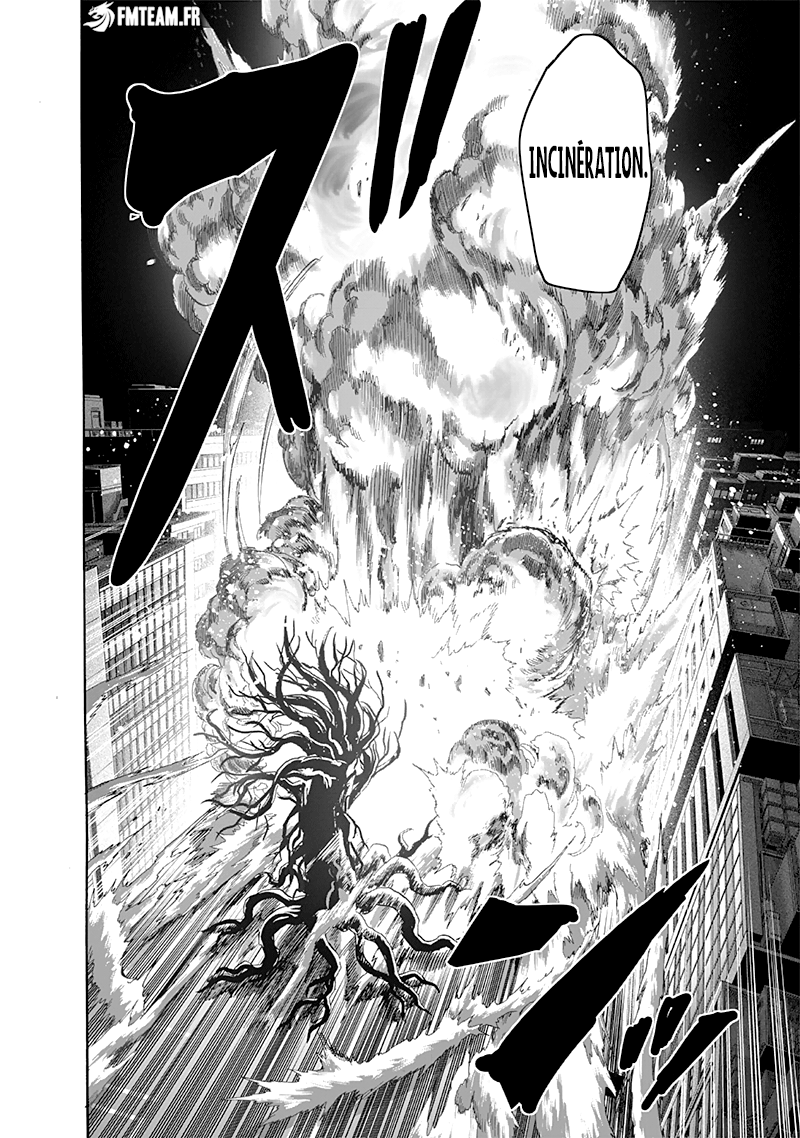 One Punch Man: Chapter chapitre-212 - Page 24
