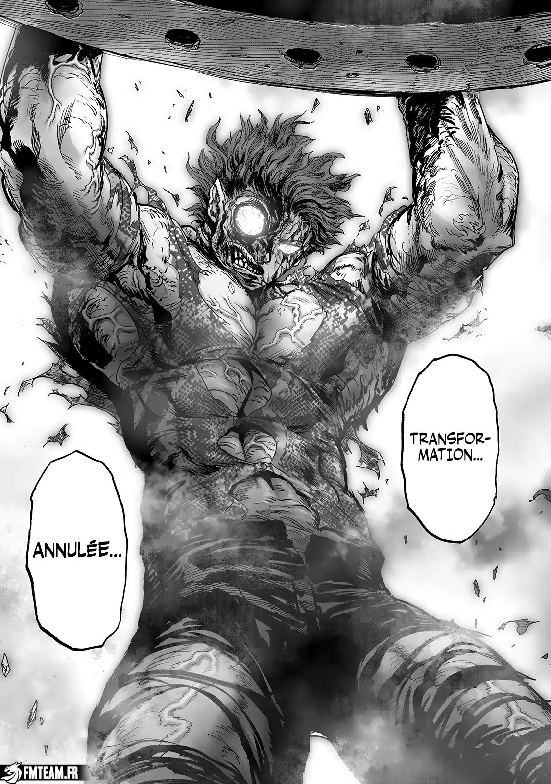 One Punch Man: Chapter chapitre-246 - Page 15