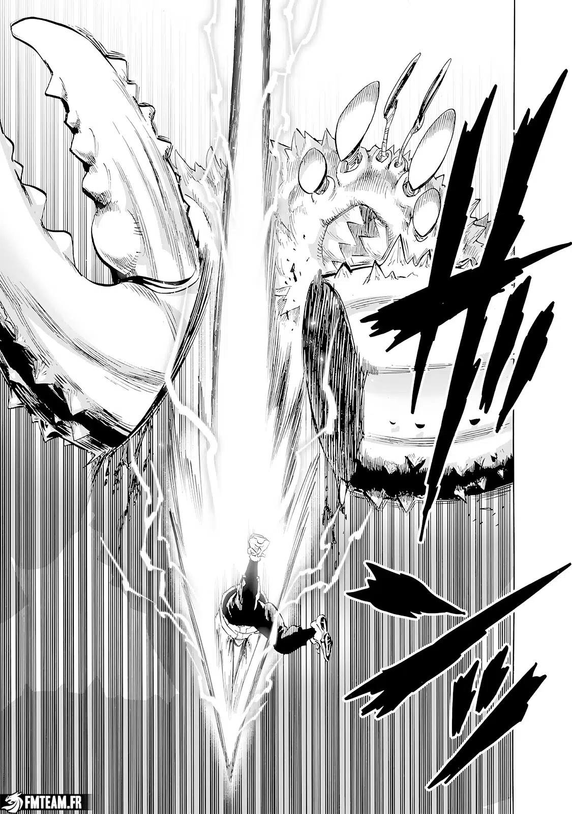 One Punch Man: Chapter chapitre-255 - Page 10