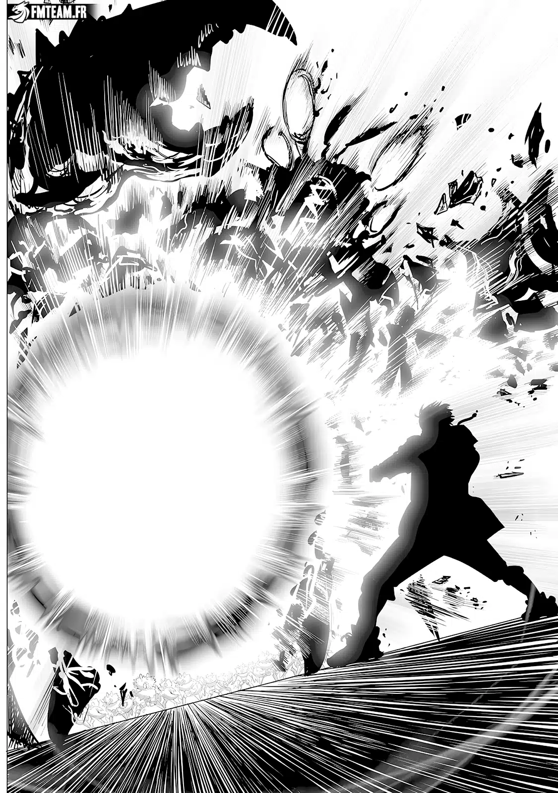 One Punch Man: Chapter chapitre-255 - Page 13