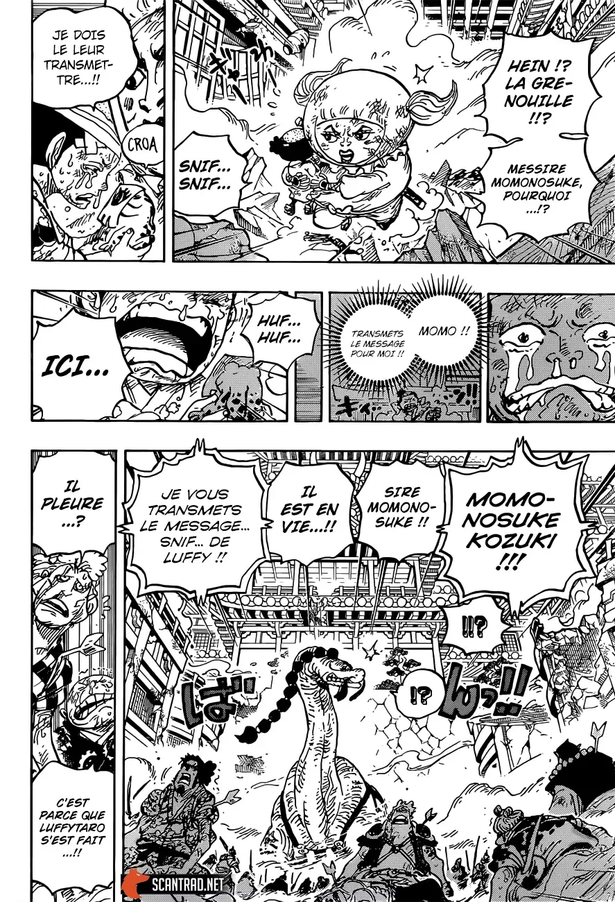 One Piece: Chapter chapitre-1015 - Page 11