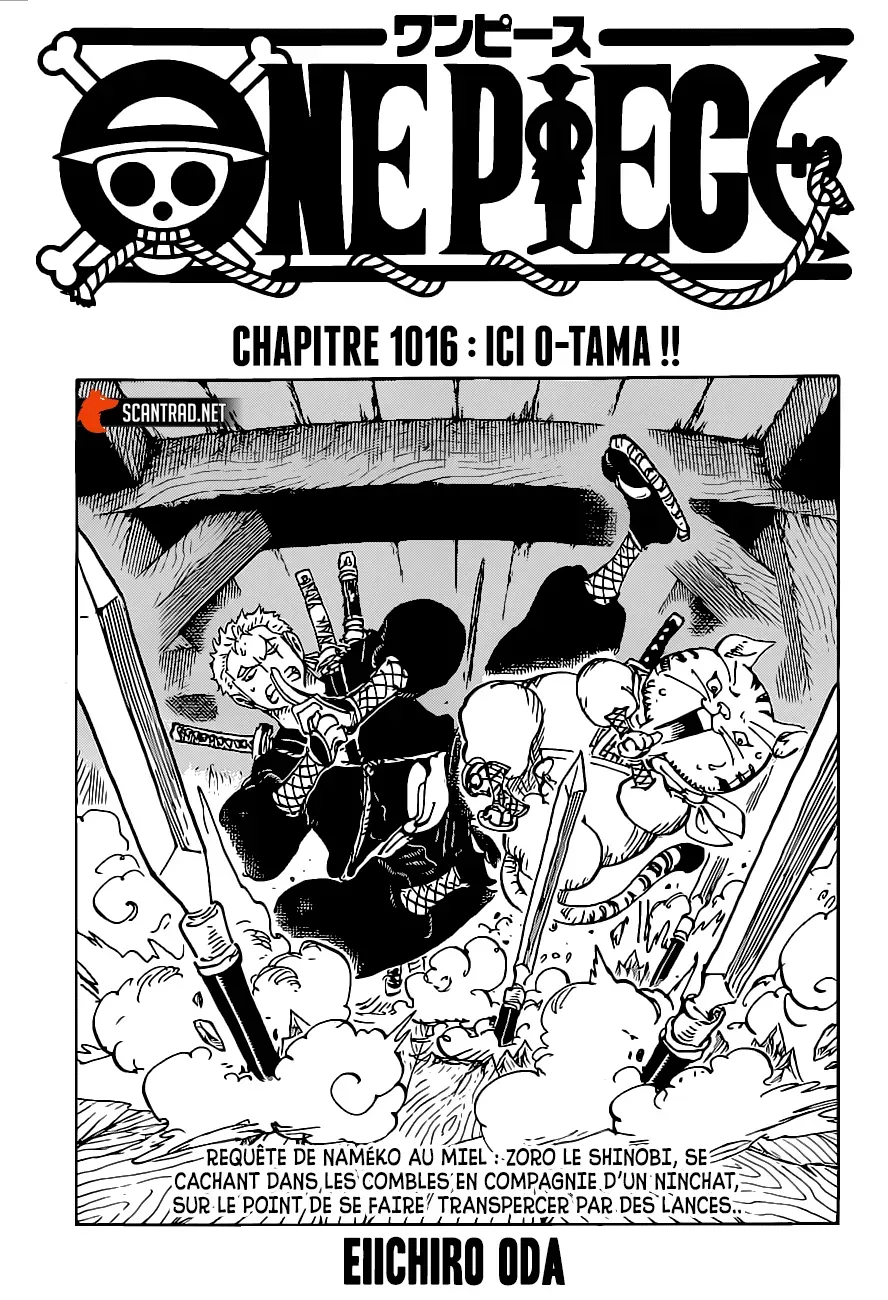 One Piece: Chapter chapitre-1016 - Page 1