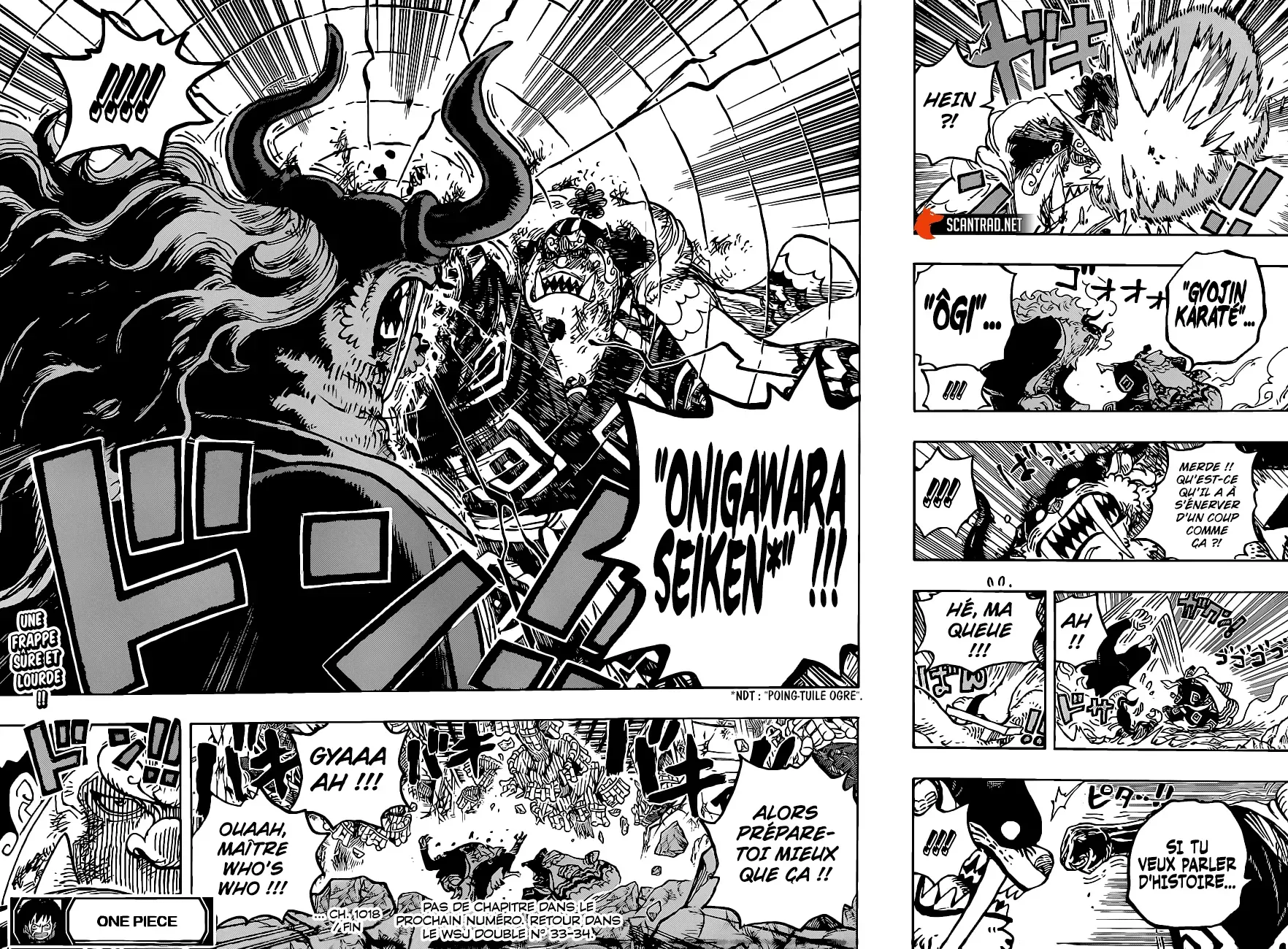 One Piece: Chapter chapitre-1018 - Page 16