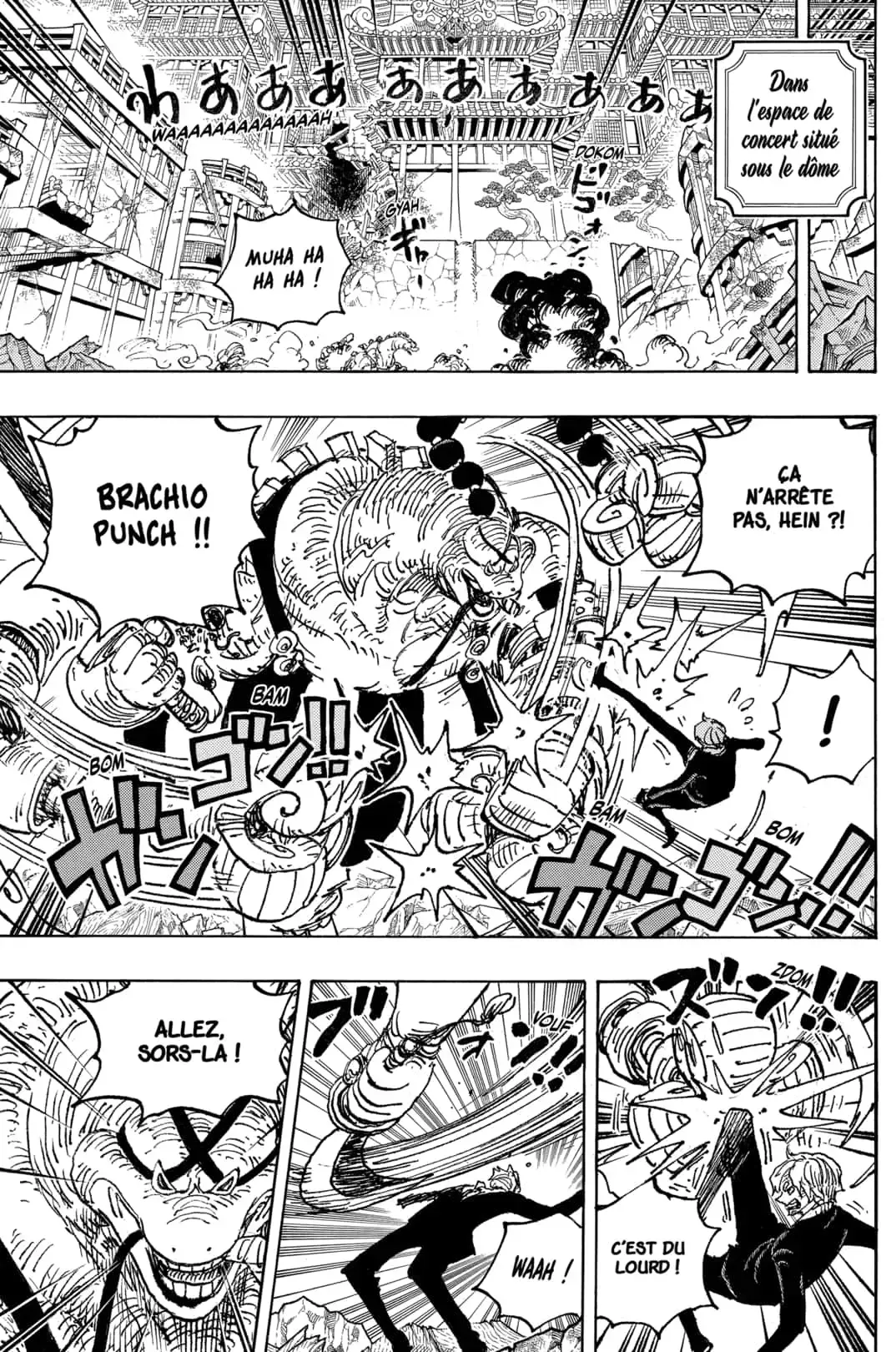 One Piece: Chapter chapitre-1028 - Page 10