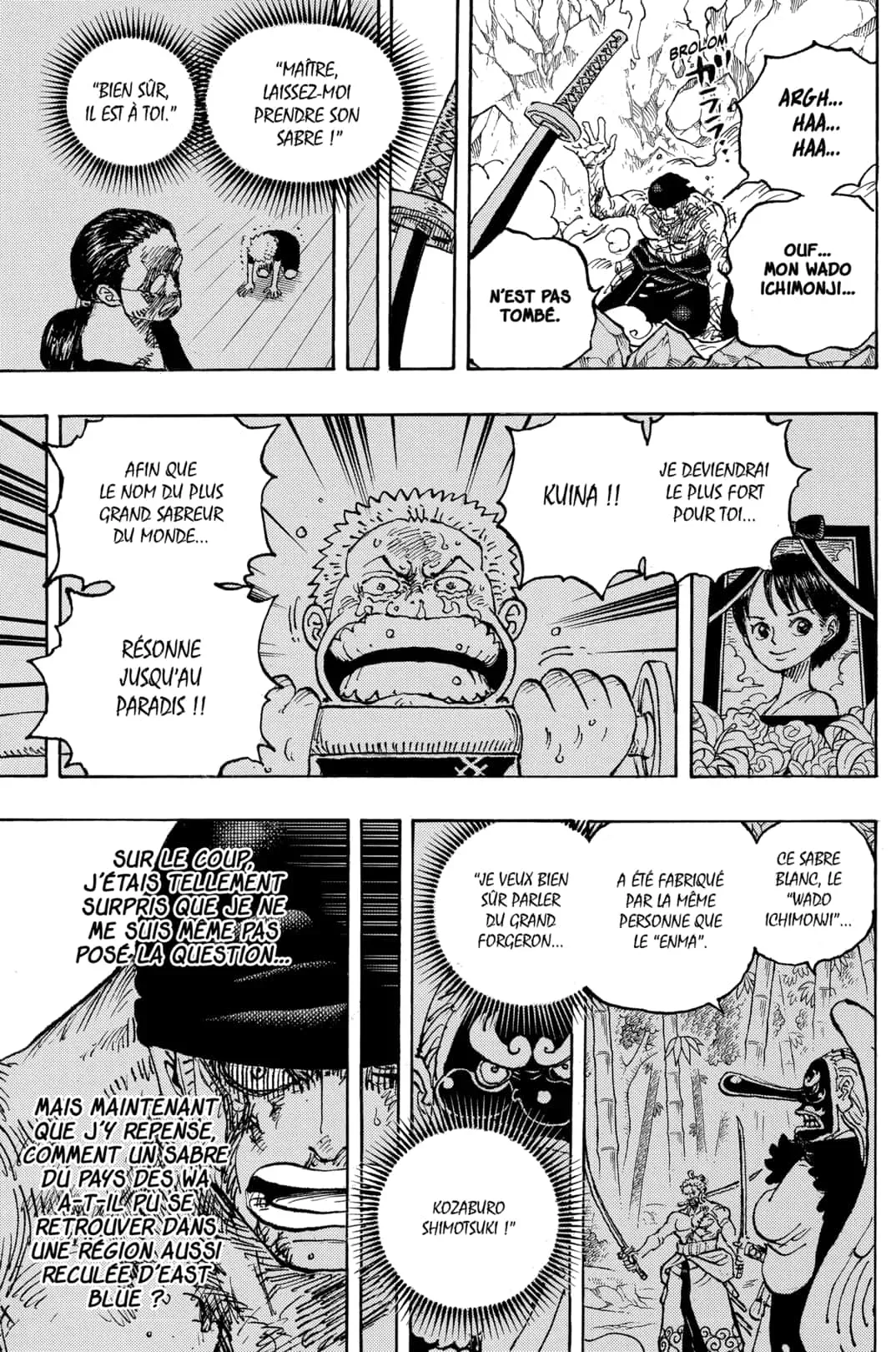One Piece: Chapter chapitre-1033 - Page 9
