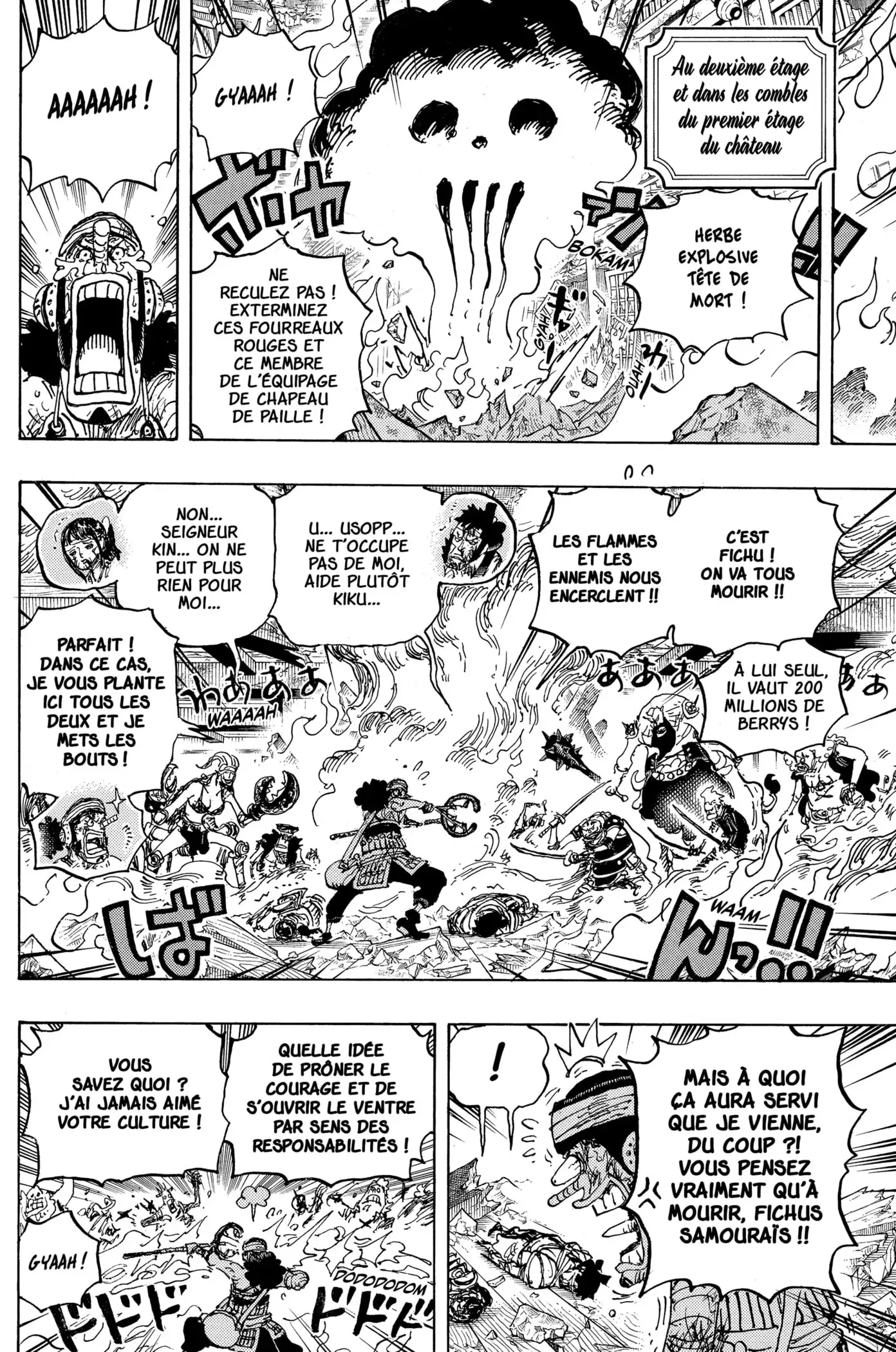 One Piece: Chapter chapitre-1036 - Page 10