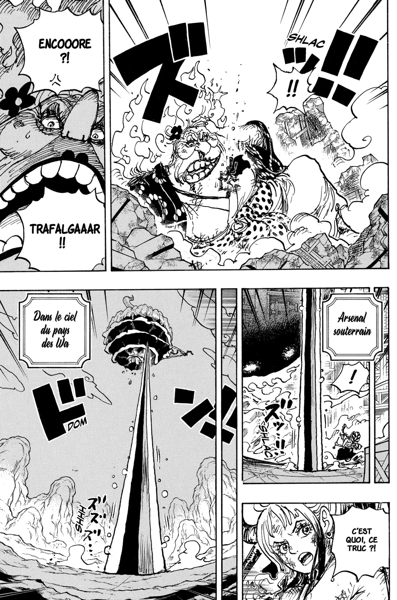 One Piece: Chapter chapitre-1039 - Page 14
