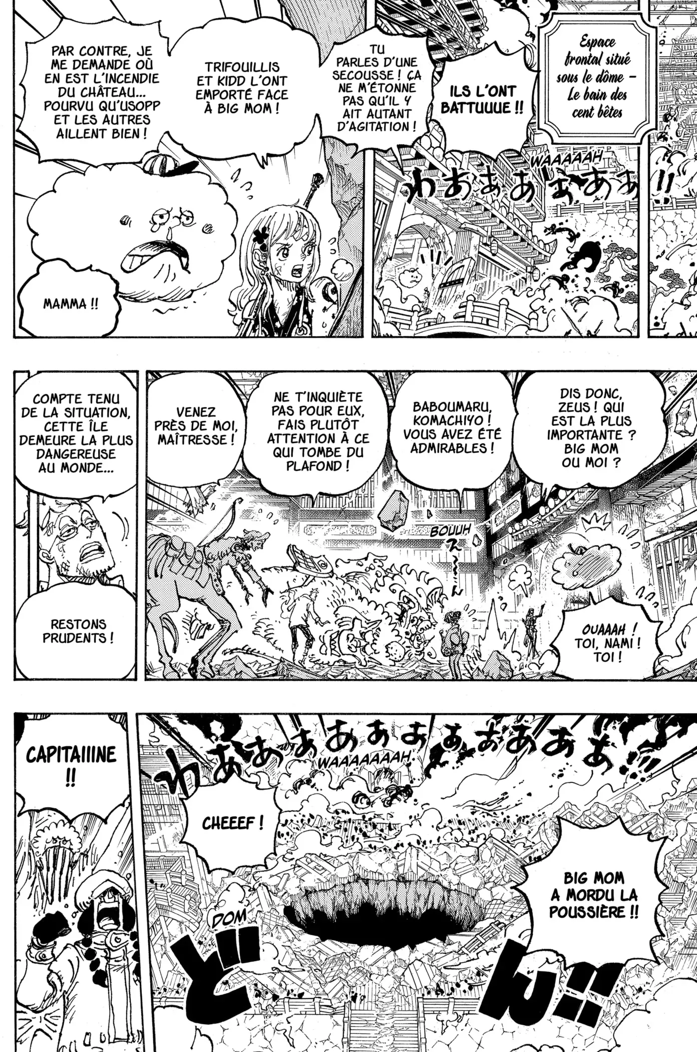 One Piece: Chapter chapitre-1041 - Page 12