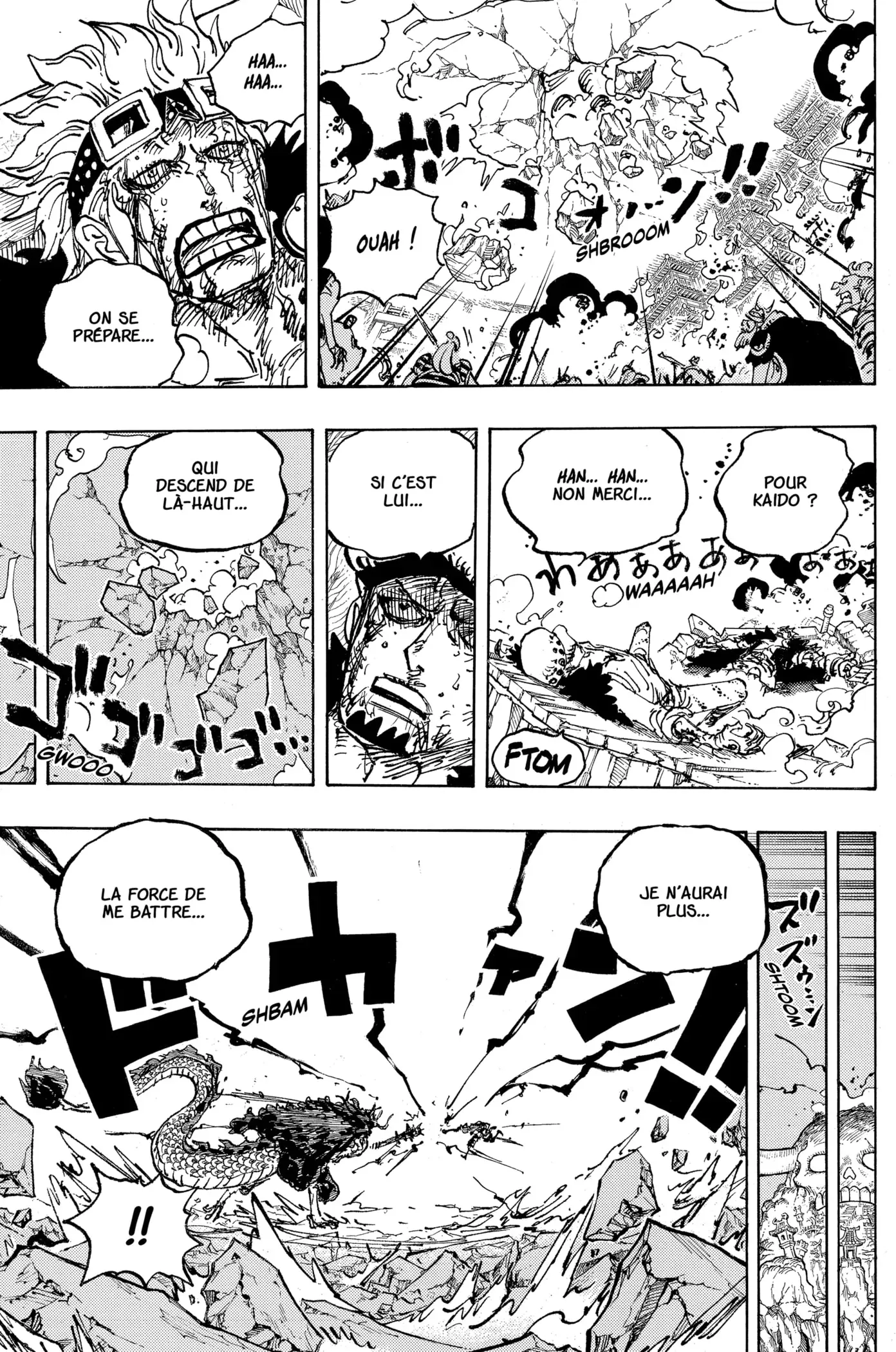 One Piece: Chapter chapitre-1041 - Page 13