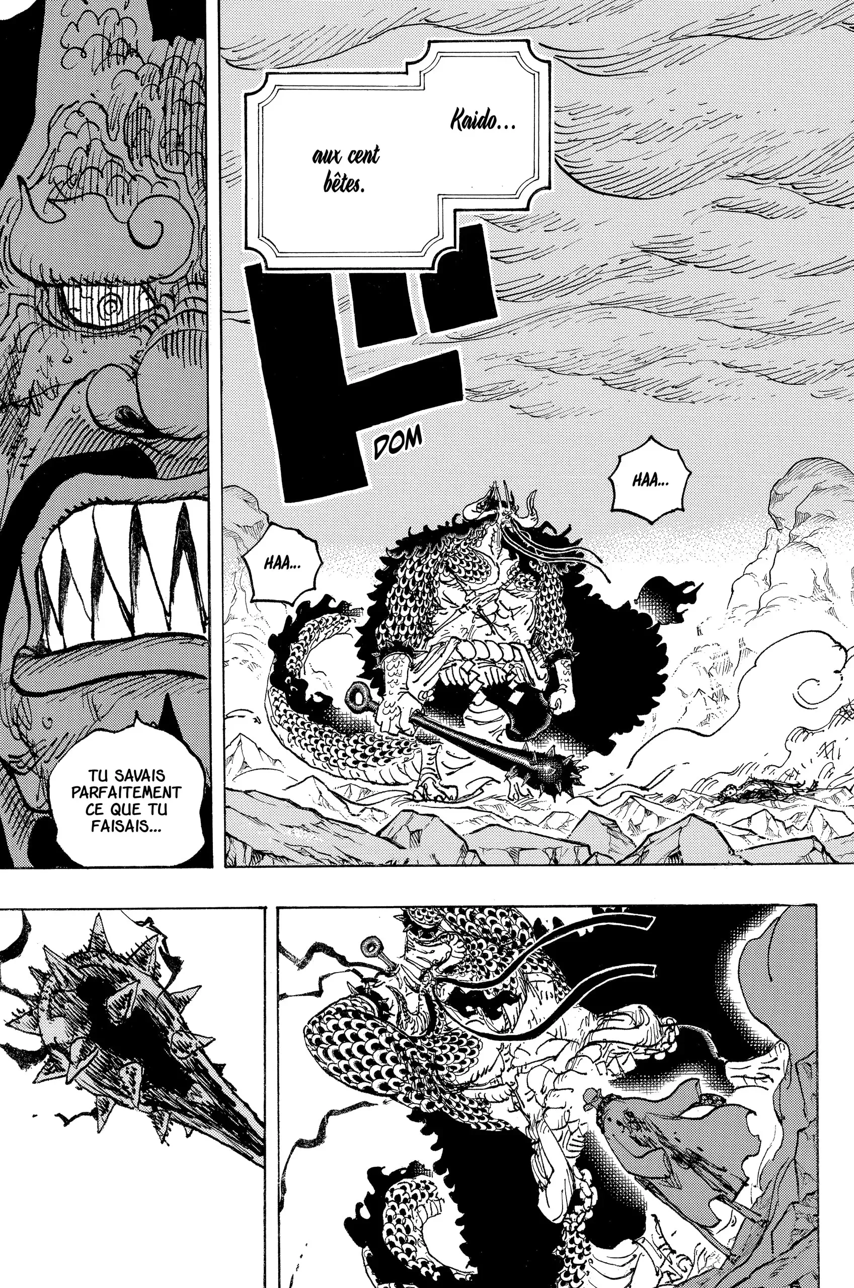 One Piece: Chapter chapitre-1043 - Page 5
