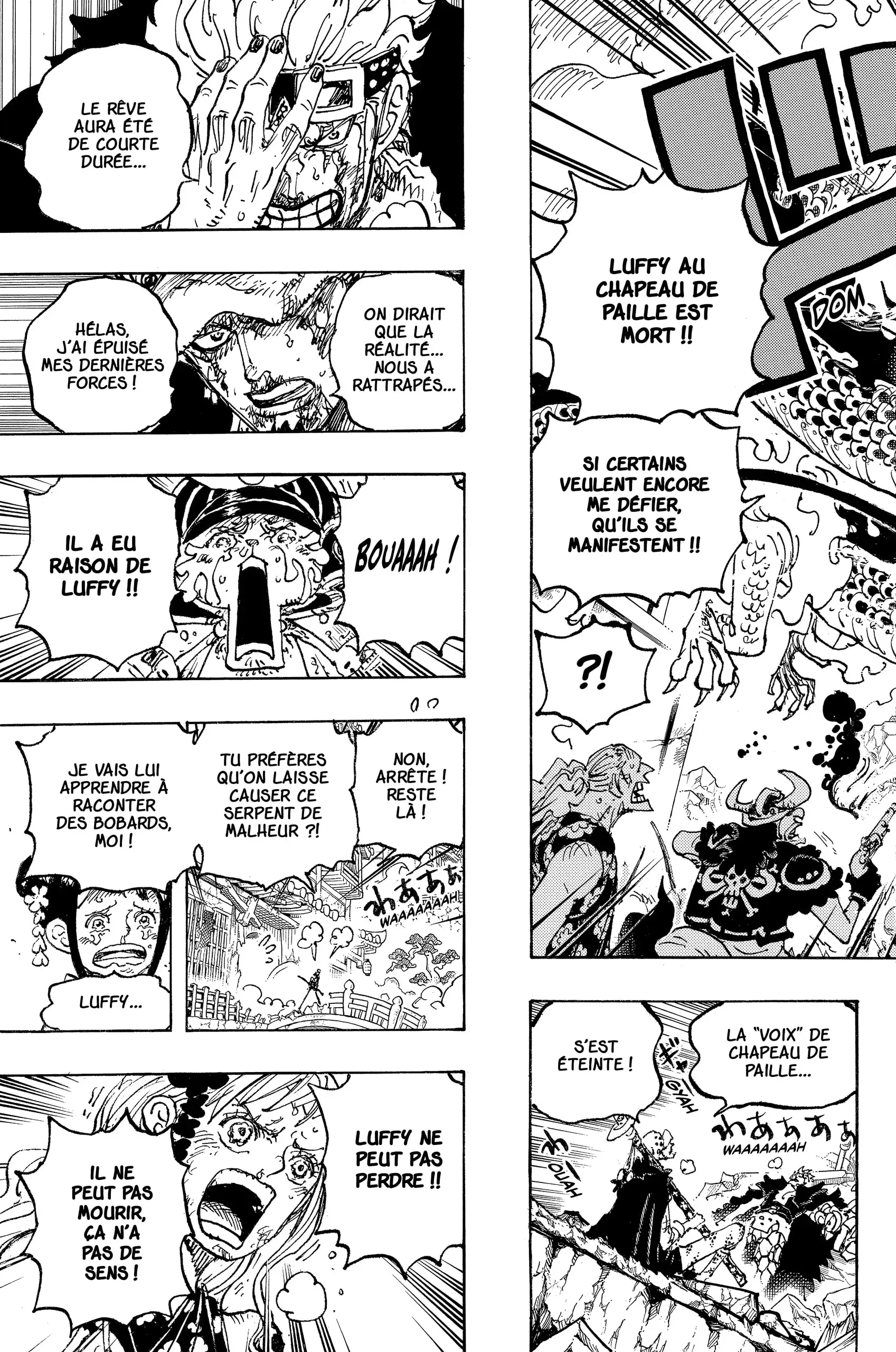 One Piece: Chapter chapitre-1043 - Page 8
