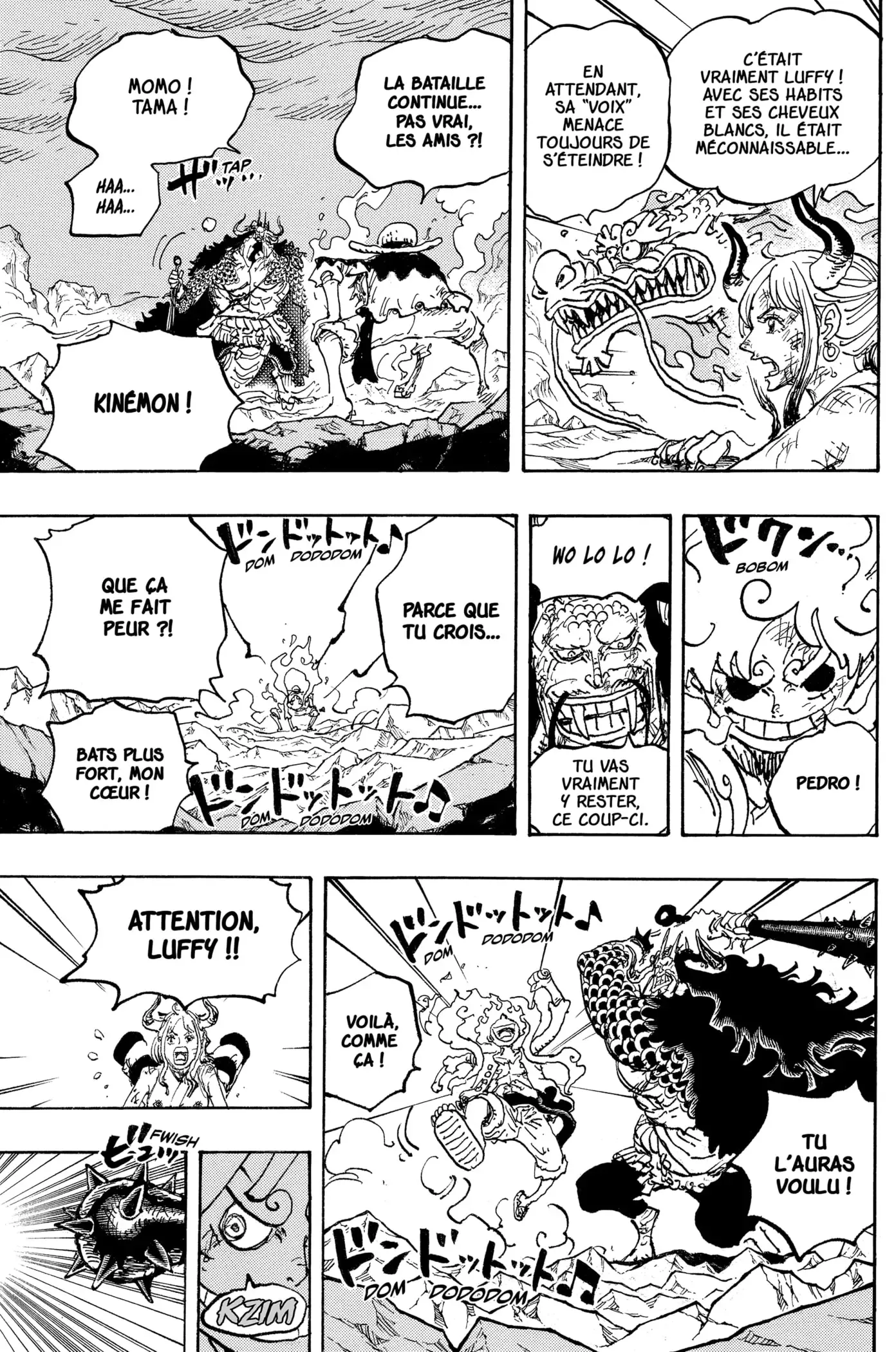 One Piece: Chapter chapitre-1045 - Page 14