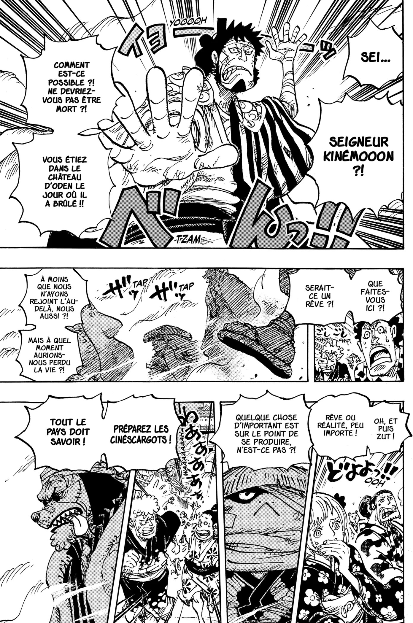 One Piece: Chapter chapitre-1051 - Page 3