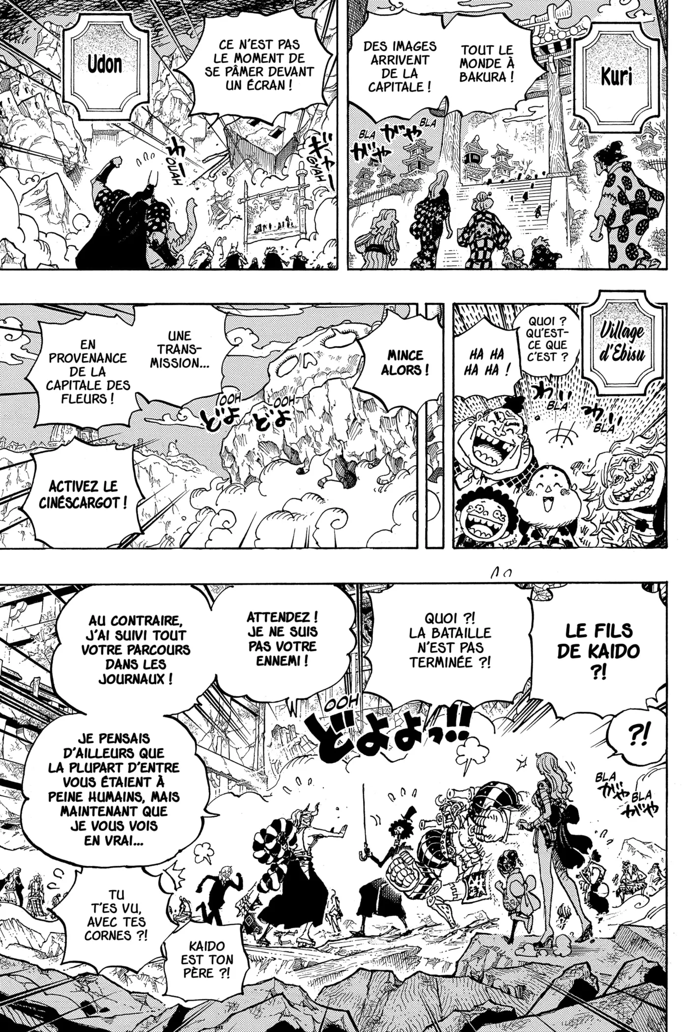 One Piece: Chapter chapitre-1051 - Page 5