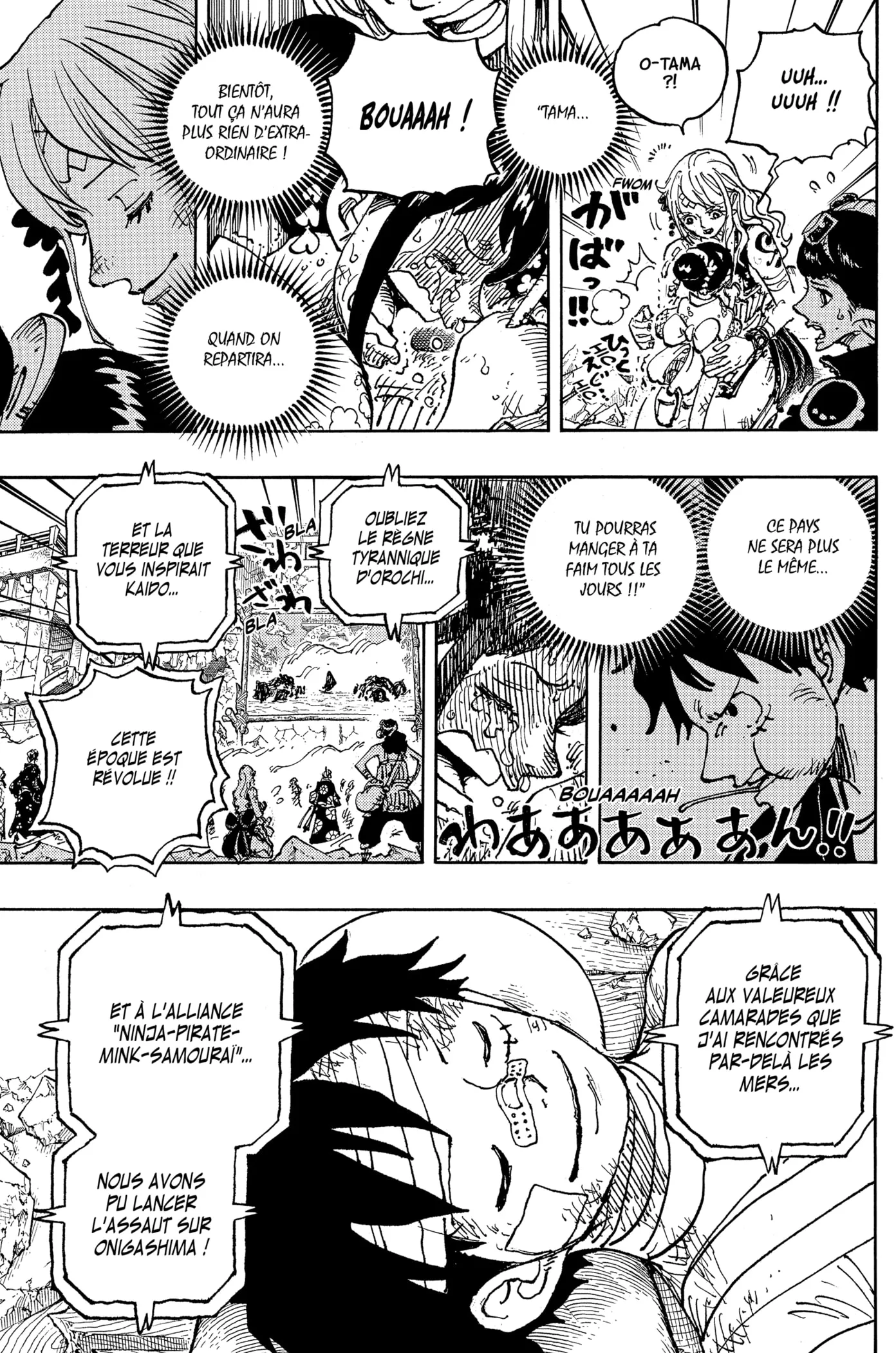 One Piece: Chapter chapitre-1051 - Page 11
