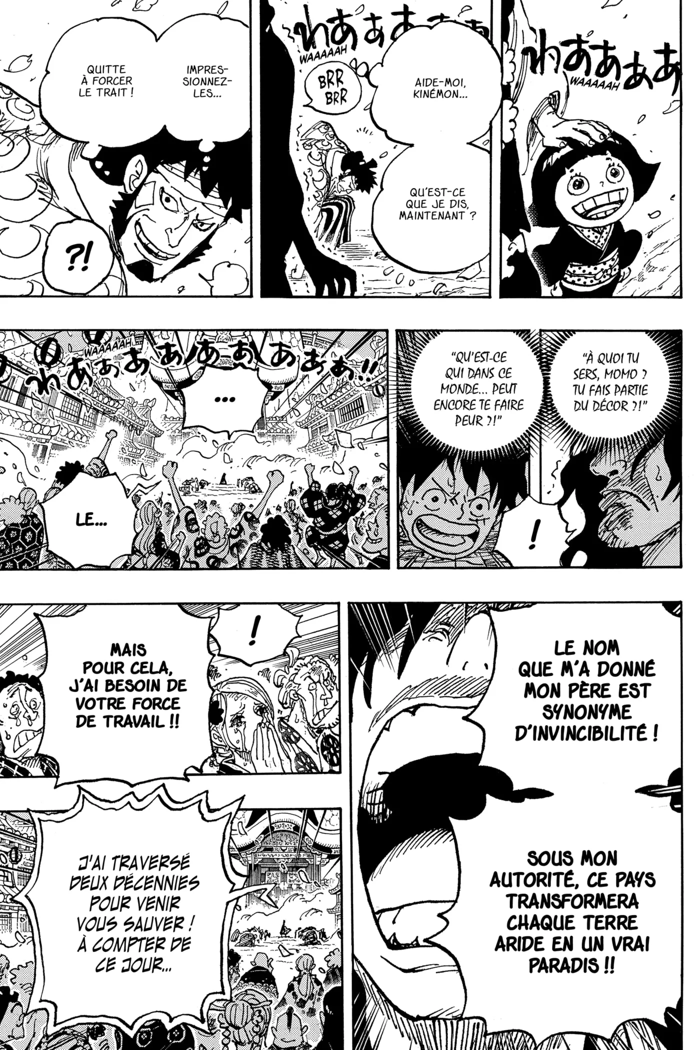 One Piece: Chapter chapitre-1051 - Page 13