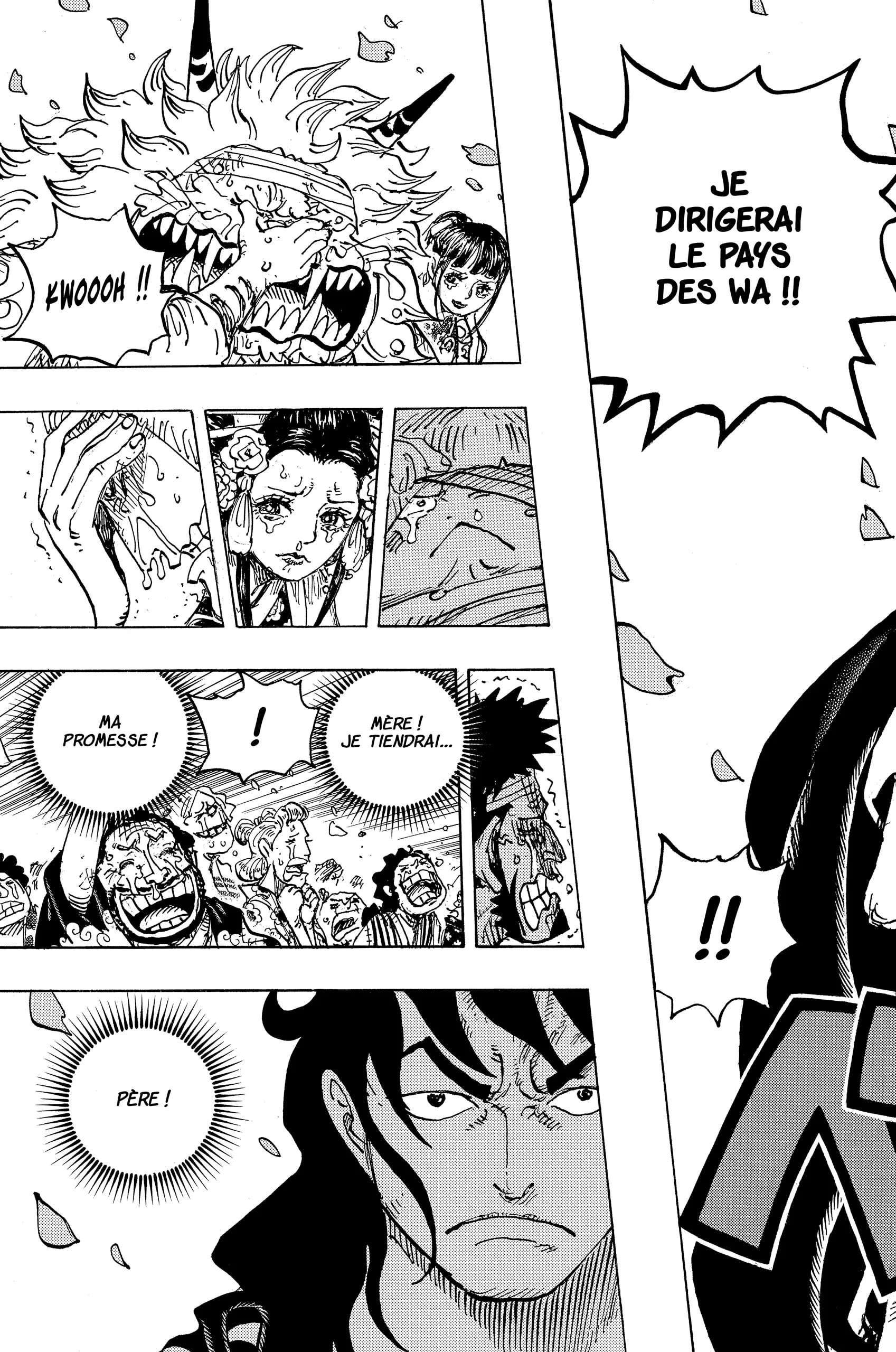 One Piece: Chapter chapitre-1051 - Page 15
