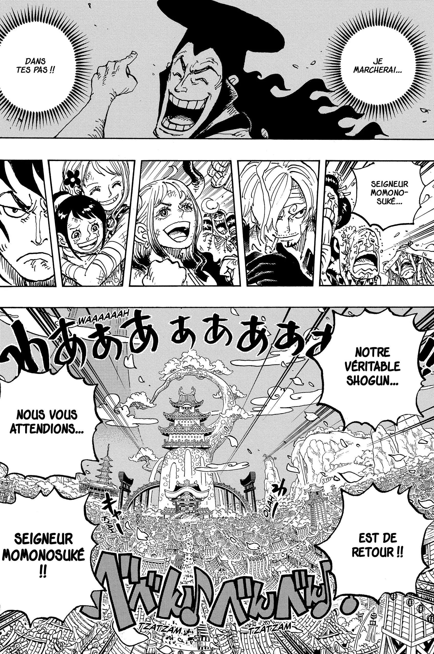 One Piece: Chapter chapitre-1051 - Page 16
