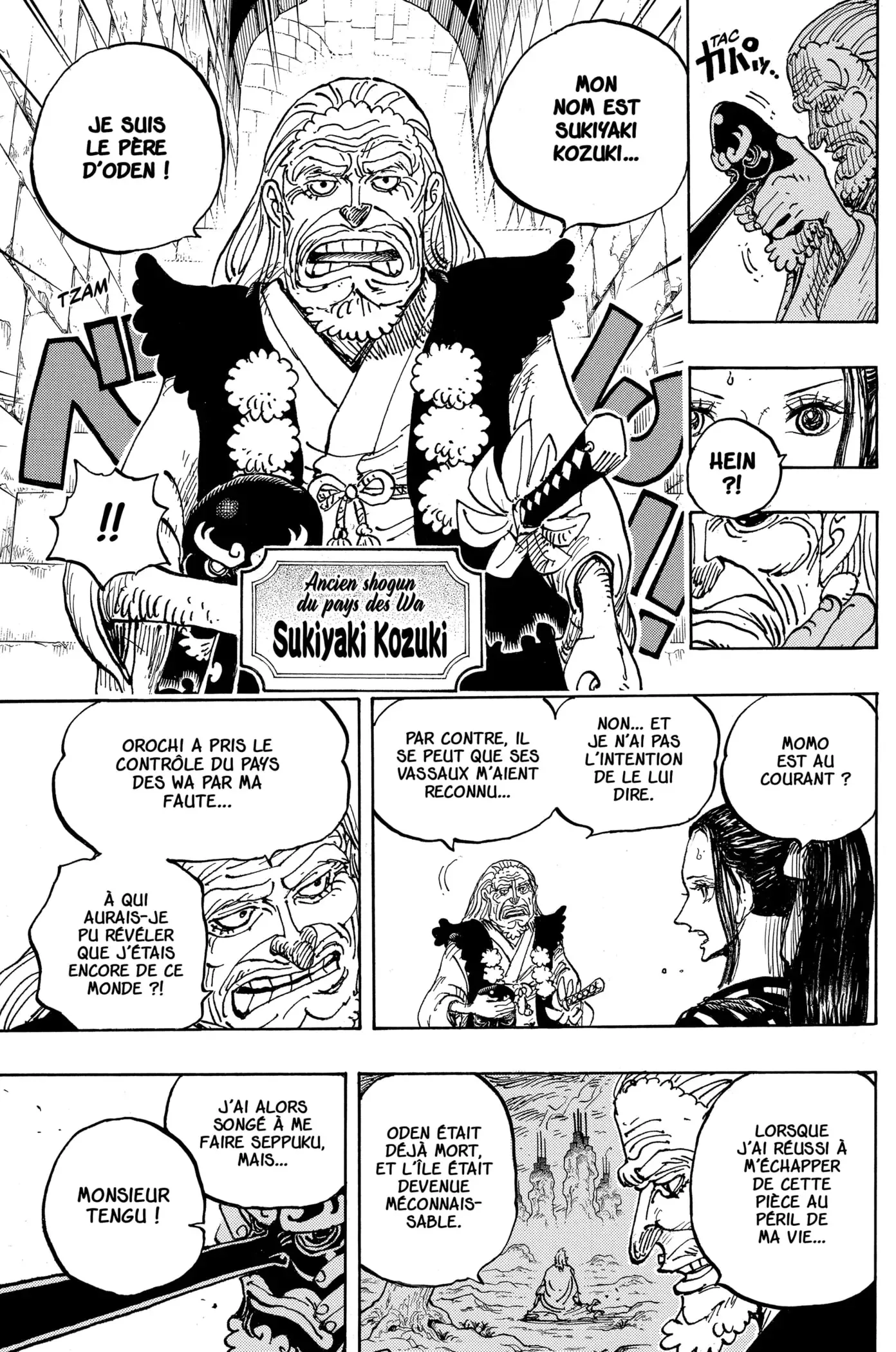 One Piece: Chapter chapitre-1053 - Page 8